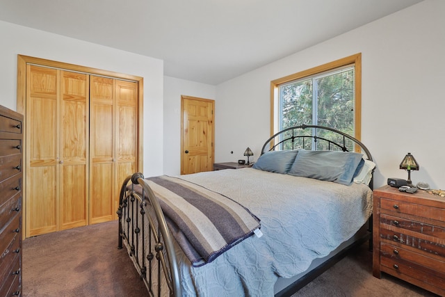 bedroom with carpet floors and a closet