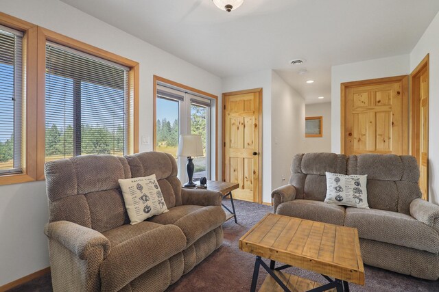 6152 Winding River Way, Fruitland, WA 99129 - carpeted living area with baseboards and recessed lighting