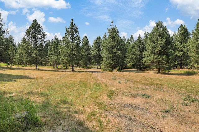 view of local wilderness featuring a rural view