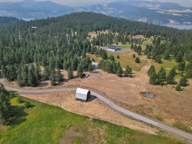 drone / aerial view featuring a mountain view and a view of trees