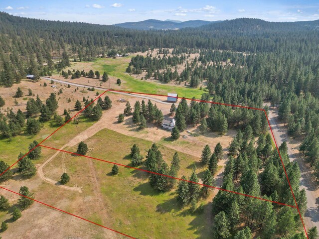 birds eye view of property with a mountain view and a view of trees