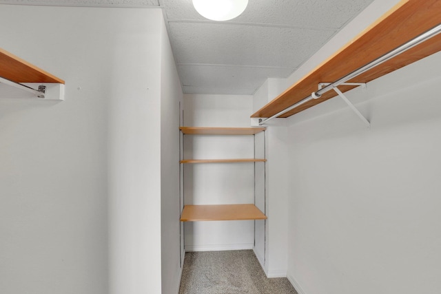 1311 S Westcliff Pl Unit 509, Spokane, WA 99224 - walk in closet with carpet floors