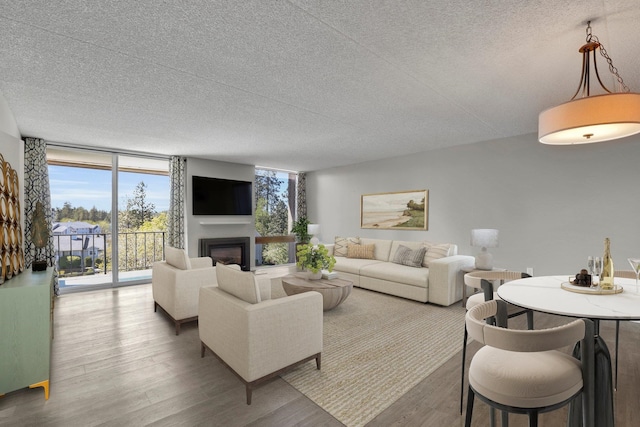 1311 S Westcliff Pl Unit 509, Spokane, WA 99224 - living area with a textured ceiling, wood finished floors, a glass covered fireplace, and expansive windows