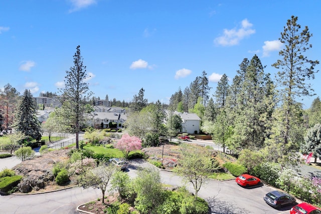 1311 S Westcliff Pl Unit 509, Spokane, WA 99224 - view of yard