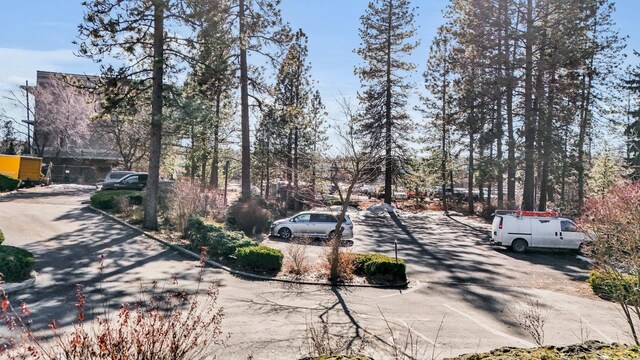 1311 S Westcliff Pl Unit 509, Spokane, WA 99224 - view of concrete road