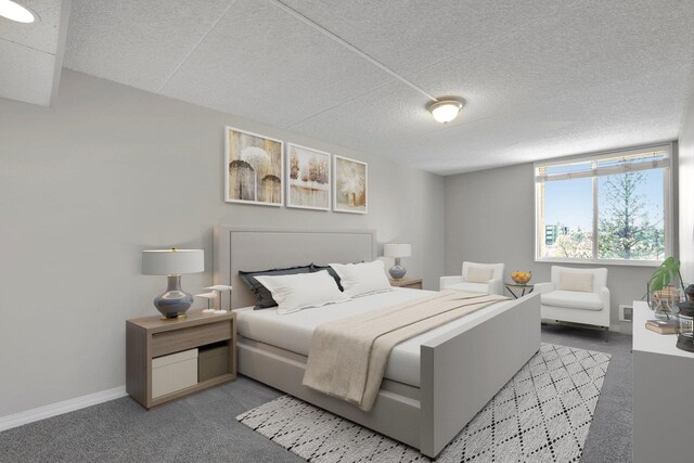 1311 S Westcliff Pl Unit 509, Spokane, WA 99224 - bedroom with carpet, a textured ceiling, and baseboards