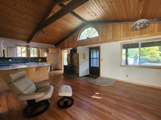 living room featuring dark wood-style floors, a wood stove, a healthy amount of sunlight, and beam ceiling