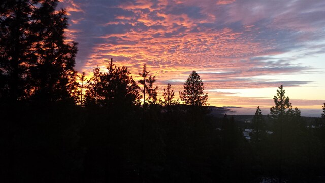 XX Blueridge Way Lot # 38, Deer Park, WA 99006