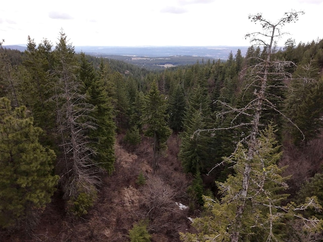 XX Blueridge Way Lot # 38, Deer Park, WA 99006
