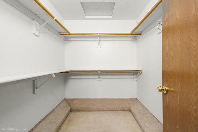 510 N Bell St, Spokane Valley, WA 99016 - walk in closet featuring carpet floors