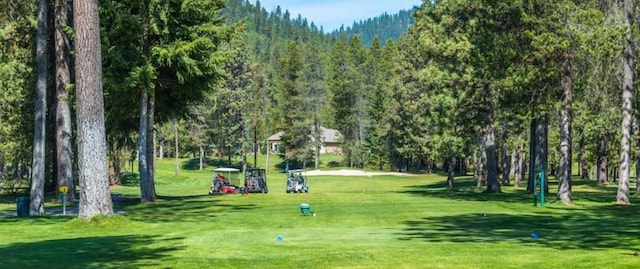 view of home's community featuring a yard