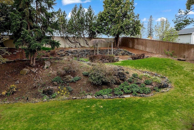 view of yard featuring a fenced backyard