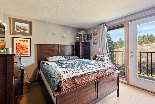 bedroom featuring access to exterior, light carpet, a textured ceiling, and baseboards