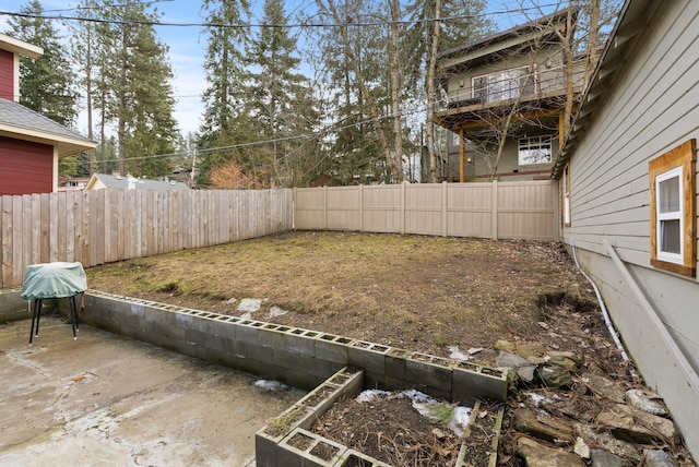 view of yard with a patio area and a fenced backyard