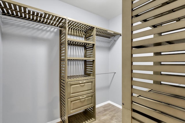 spacious closet featuring light wood finished floors