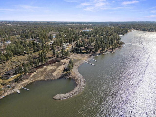 aerial view featuring a water view and a wooded view