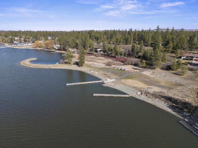 bird's eye view with a forest view and a water view