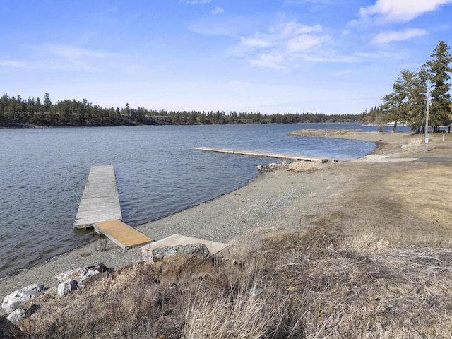 view of dock with a water view