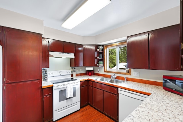 kitchen with under cabinet range hood, white appliances, dark wood-type flooring, a sink, and light countertops