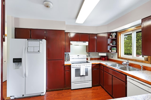 kitchen featuring white appliances, dark wood finished floors, light countertops, under cabinet range hood, and a sink