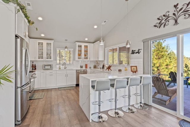 kitchen with stainless steel appliances, a peninsula, light wood-style flooring, and a healthy amount of sunlight