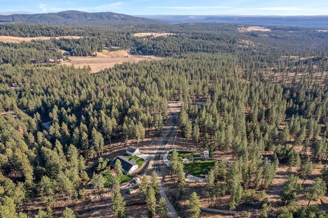 bird's eye view featuring a mountain view and a wooded view