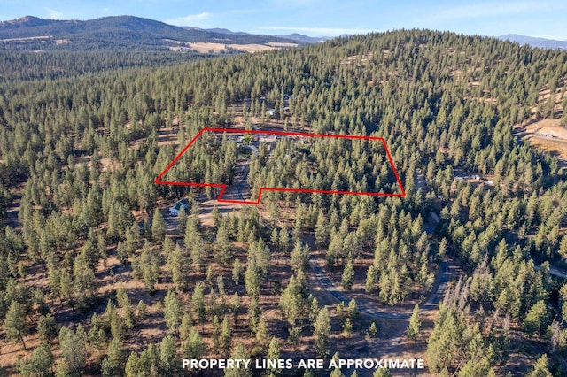 birds eye view of property featuring a mountain view and a forest view