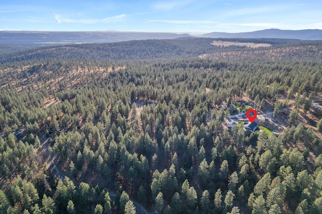 aerial view featuring a mountain view and a view of trees