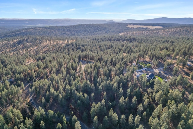 bird's eye view featuring a mountain view and a wooded view