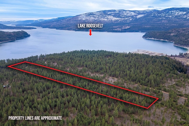 1866I Northport Flat Creek Rd, Kettle Falls WA, 99141 land for sale