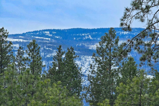 Listing photo 3 for 1866I Northport Flat Creek Rd, Kettle Falls WA 99141