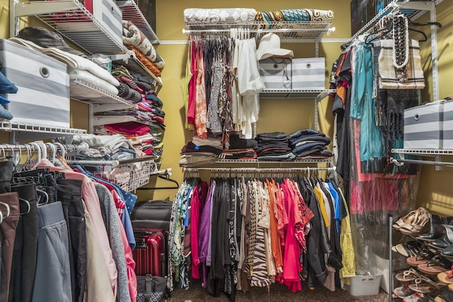 view of spacious closet