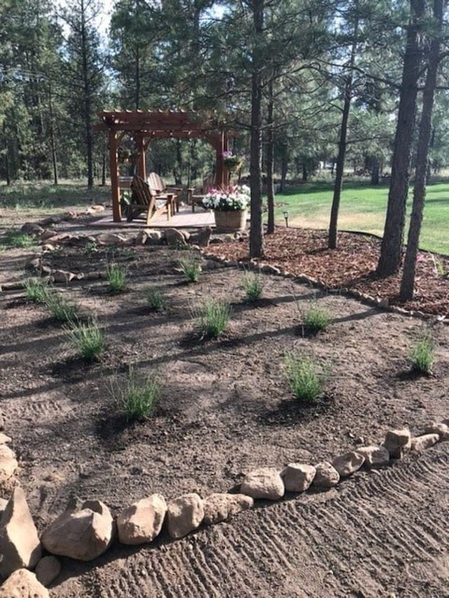 view of yard featuring a patio area and a pergola