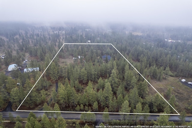 bird's eye view with a forest view