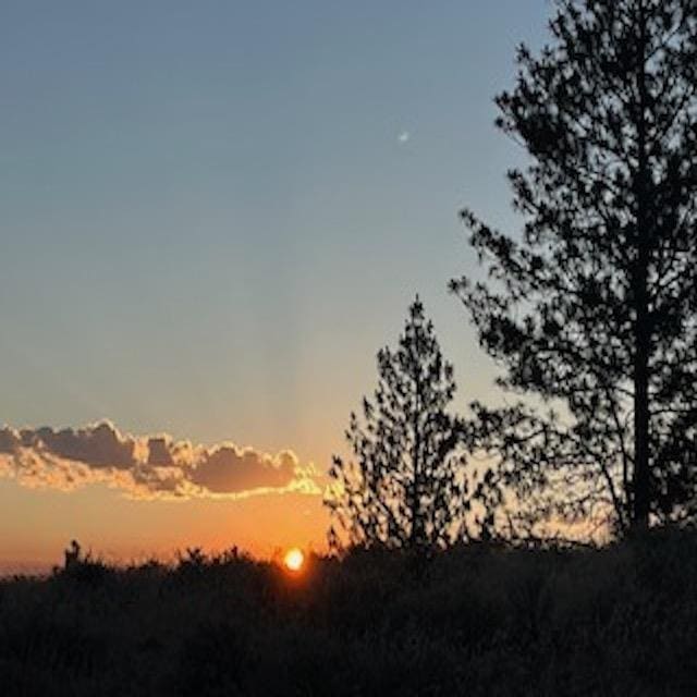 TractI Meadow Lane, Davenport, WA 99122