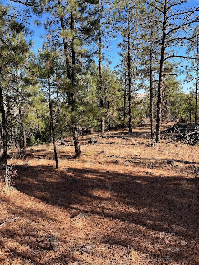 Listing photo 3 for LOT2WAPITI Bob White Ln, Davenport WA 99122