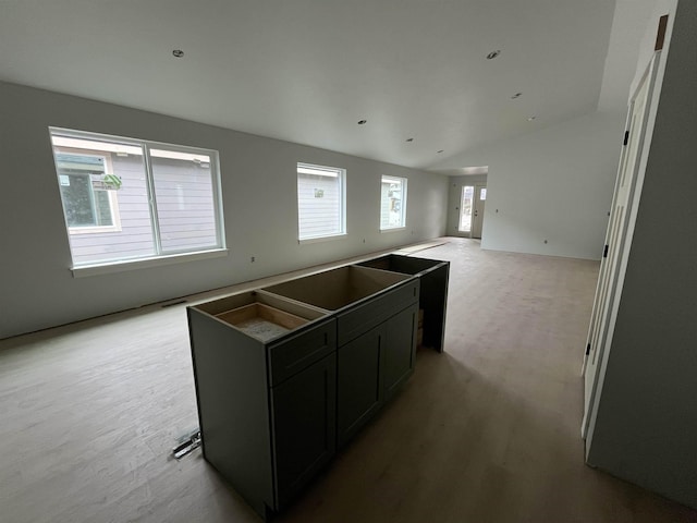 kitchen with dark cabinets, open floor plan, light wood finished floors, and a center island