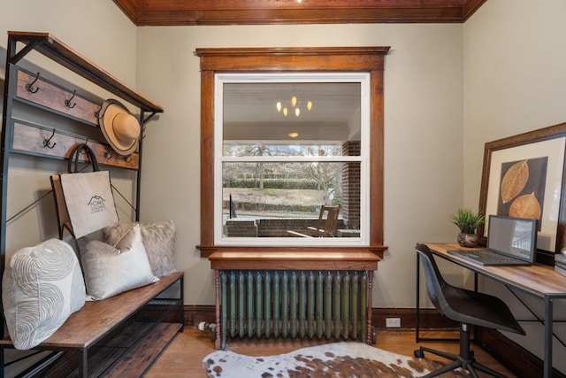 office featuring radiator heating unit, wood finished floors, baseboards, and ornamental molding