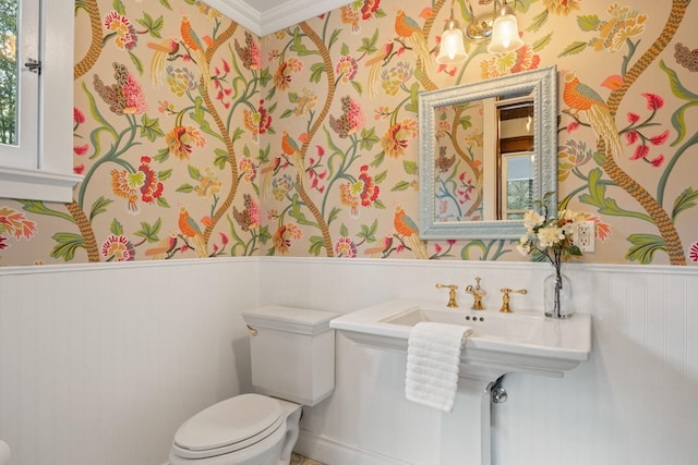 half bath featuring wainscoting, toilet, and crown molding