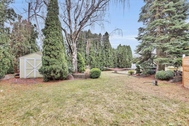 view of yard with a storage unit and an outdoor structure