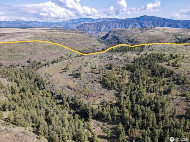 view of mountain feature
