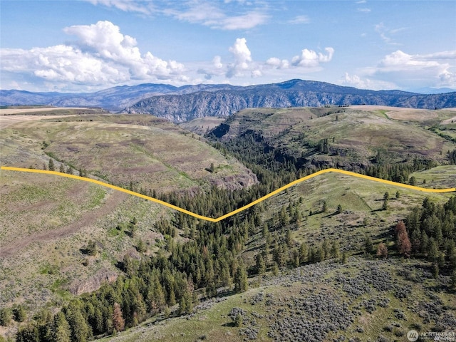 aerial view with a mountain view