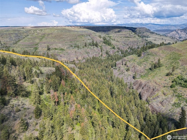 birds eye view of property featuring a mountain view and a forest view