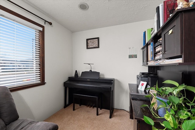 office featuring light carpet and a textured ceiling