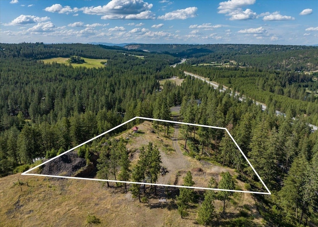 9616 S Mullen Hill Rd, Spokane WA, 99224 land for sale