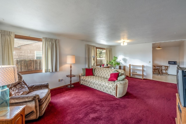 view of carpeted living area