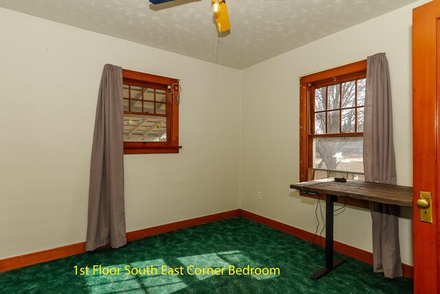 460 E Columbia Ave, Colville, WA 99114 - spare room with carpet, baseboards, a ceiling fan, and a textured ceiling