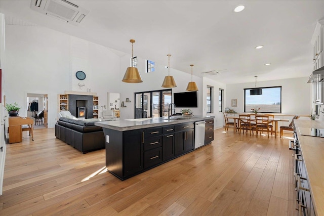 kitchen with dark cabinetry, light wood finished floors, a kitchen island with sink, a sink, and stainless steel dishwasher