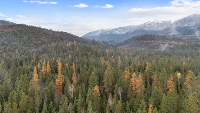 property view of mountains featuring a wooded view