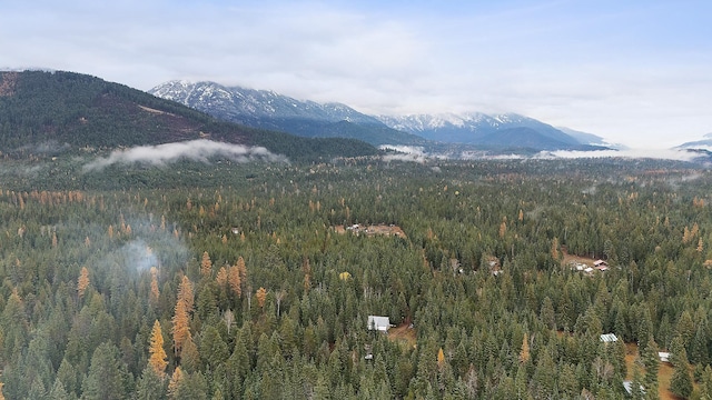 mountain view with a view of trees